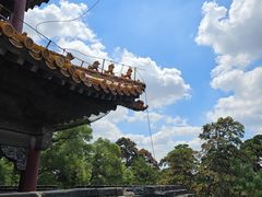 -北陵公园