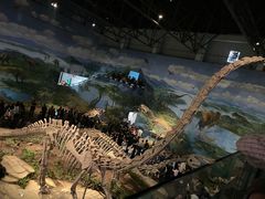 -自贡恐龙博物馆