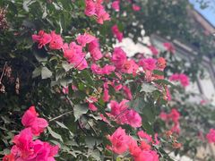 -高坎一品甲鱼庄(两河店)