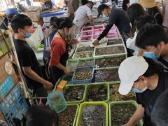 -南沙十九涌渔人码头-南门