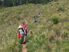 -白草畔自然风景区