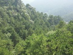 android_upload_pic-医巫闾山