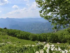 -灵山