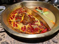 -小龙坎老火锅(工体店)