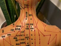-仰生如卉推拿养生馆(酒仙桥店)