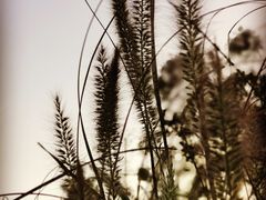 -东方之珠洗浴休闲广场(和平店)