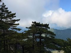 -黄山玉屏楼宾馆餐厅
