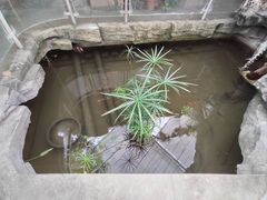 -国家植物园