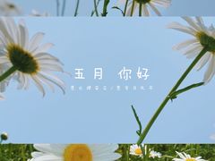 -映月湖中央公园
