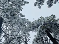 -庐山风景名胜区