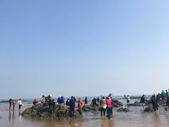 -巧克力渔家.小船海鲜胶东菜(万平口店)