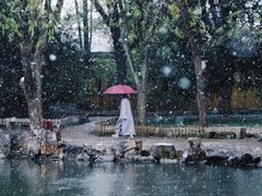 -西园戒幢律寺