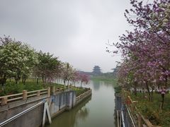 -海珠湖公园