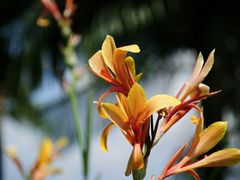 -东天目山风景区
