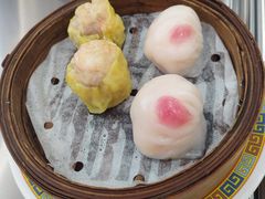 -憶廟街 X 沙角邨(太古城店)