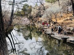 -承德避暑山庄景区