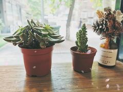 -Poke lemon海鲜波奇饭·柠檬茶(金碧开放小区店)