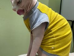 -藏猫猫咖啡主题馆(中央大道店)