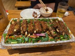 -福苗小骆驼烧烤(莲湖路店)
