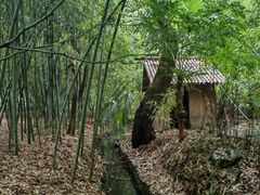 -兰亭风景区