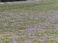 -成都当代美术馆