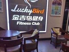 -金吉鸟健身游泳