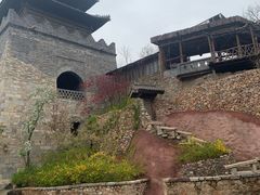 -古北烤梨