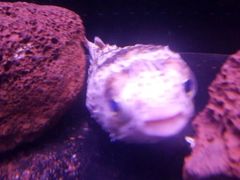 -飞歌e族KTV(雄楚1号店)