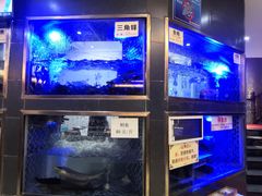 水产区-沱江鱼府(丽江店)
