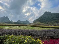 -靖西鹅泉风景区