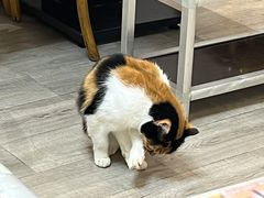 -吉友粥底火锅(方斜路店)