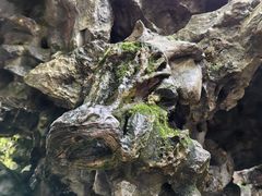 -东山雕花楼