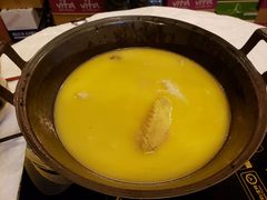 -鲜入围煮花胶鸡海鲜火锅