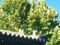 -嵩祝寺及智珠寺