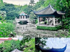 -叶家花园