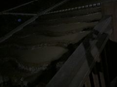 -宁海安岚·南溪阁全日餐厅