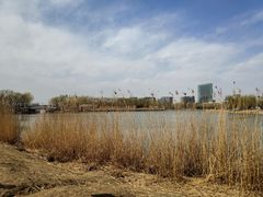 -大兴滨河森林公园