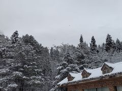 -武陵山森林公园