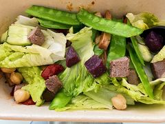 -SHUBO蔬小盒(三里屯店)