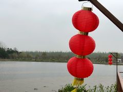 -东平国家森林公园