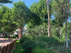 -九十九顶毡房(阜石路店)