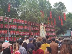 -光明农场大观园