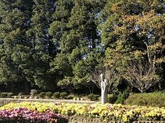 -庐山风景区花径公园