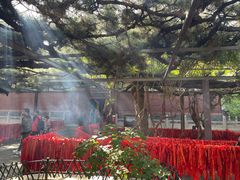 -红螺寺
