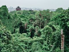 -吴山景区