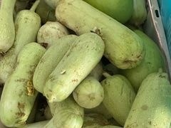 -东天目山风景区