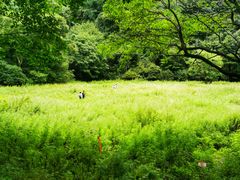 -终南山国家森林公园