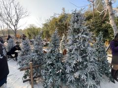 -HERRE·FARM 赫尔露营农场·团建聚会包场