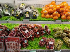 -百果园PAGODA(南沙路店)