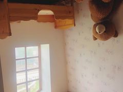 -金山农民画村-枫泾波兰倒置屋